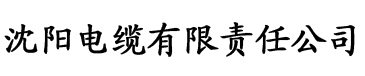 丝瓜视频成人片免费观看电缆厂logo